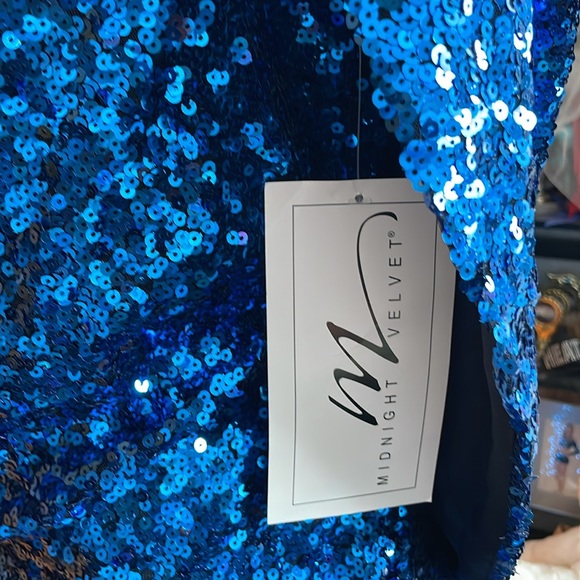 Vintage Vibe Midnight Velvet Blue Sequin Dress - Picture 5 of 10